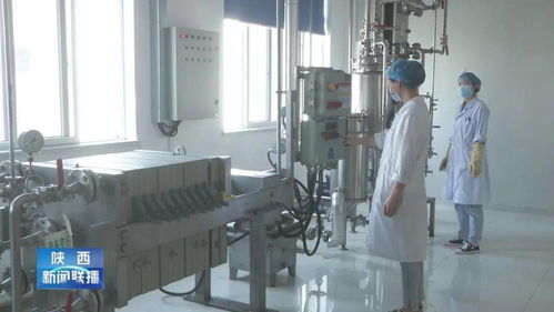 技术赋能 民营经济释放新活力——我省民营企业进出口增幅显著