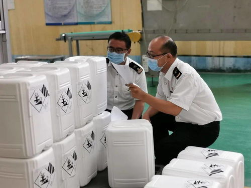 技术进出口领域迎来新规 危险化学品检验监管升级，企业需积极应对